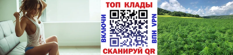 Метадон Петровск-Забайкальский