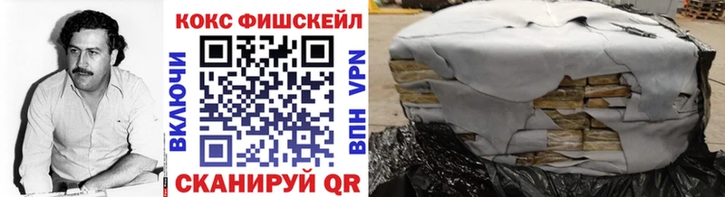 Кокаин Fish Scale купить наркоту Петровск-Забайкальский
